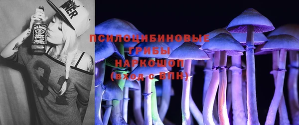 индика Алзамай