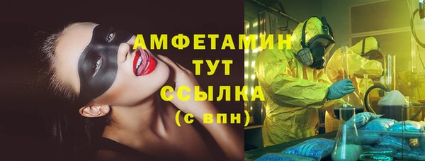 гидра Алексеевка
