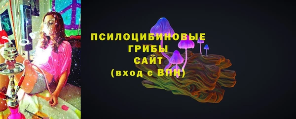 гидра Алексеевка