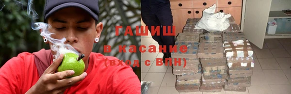 индика Алзамай