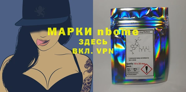 индика Алзамай