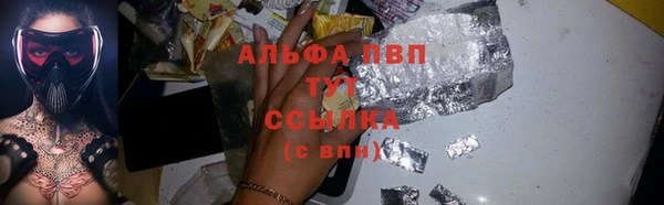 индика Алзамай