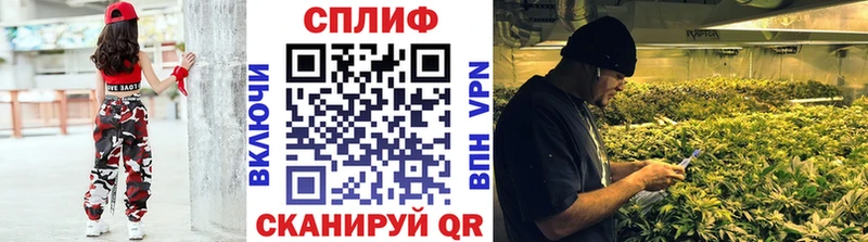 Конопля индика где продают наркотики Кашин